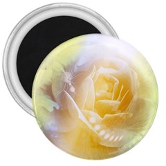 Beautiful Yellow Rose 3  Magnets by FantasyWorld7