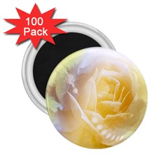 Beautiful Yellow Rose 2 25  Magnets (100 Pack)  by FantasyWorld7