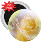 Beautiful Yellow Rose 3  Magnets (100 pack) Front