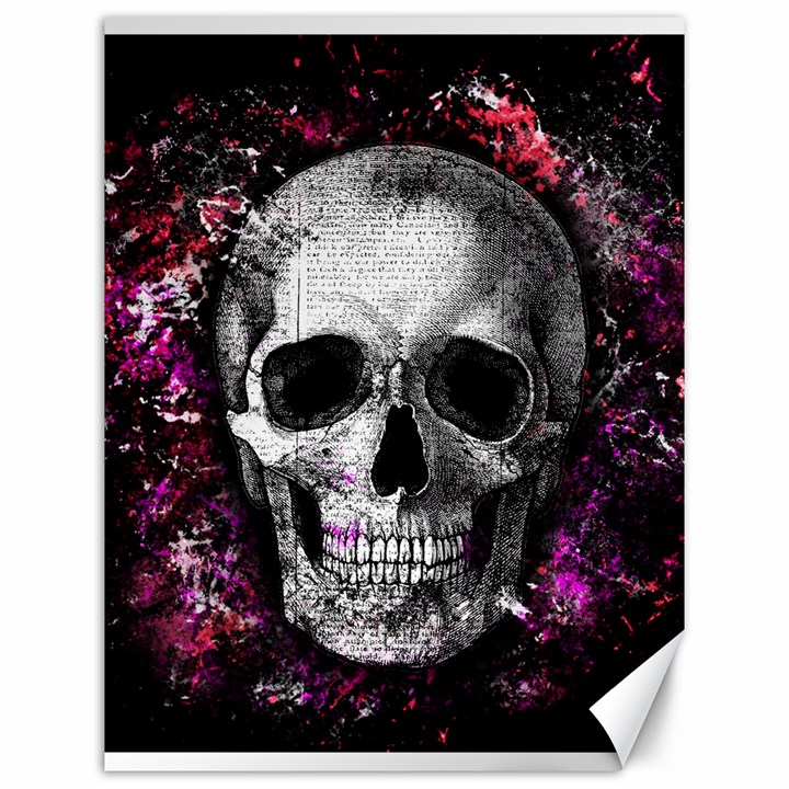 Skull Canvas 12  x 16  