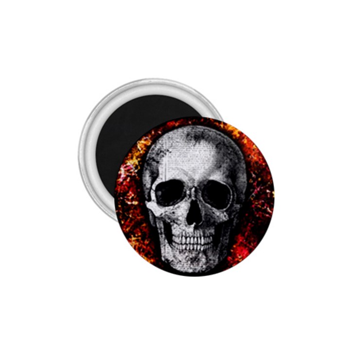 Skull 1.75  Magnets