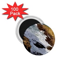 Jobo Beach Isabela Puerto Rico  1 75  Magnets (100 Pack)  by StarvingArtisan