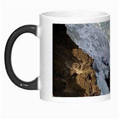 Jobo Beach Isabela Puerto Rico  Morph Mugs by StarvingArtisan