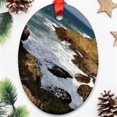 Jobo Beach Isabela Puerto Rico  Oval Ornament (two Sides) by StarvingArtisan