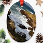 Jobo Beach Isabela Puerto Rico  Oval Ornament (Two Sides) Back