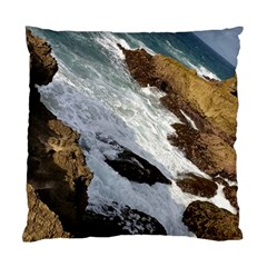 Jobo Beach Isabela Puerto Rico  Standard Cushion Case (two Sides) by StarvingArtisan