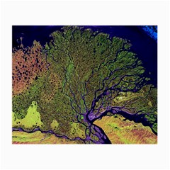 Lena River Delta A Photo Of A Colorful River Delta Taken From A Satellite Small Glasses Cloth