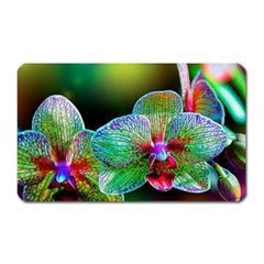 Alien Orchids Floral Art Photograph Magnet (rectangular) by Sapixe