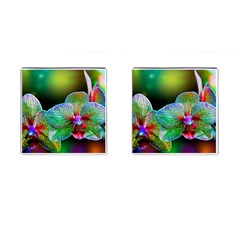 Alien Orchids Floral Art Photograph Cufflinks (square) by Sapixe