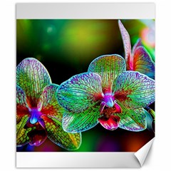 Alien Orchids Floral Art Photograph Canvas 8  X 10  by Sapixe