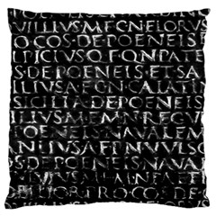 Antique Roman Typographic Pattern Standard Flano Cushion Case (one Side) by dflcprints