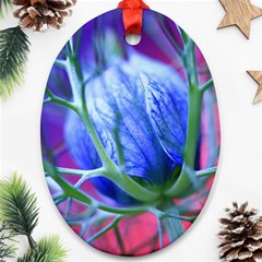 Blue Flowers With Thorns Ornament (oval)