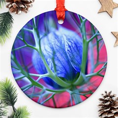 Blue Flowers With Thorns Round Ornament (two Sides)