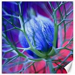 Blue Flowers With Thorns Canvas 16  X 16   by Sapixe