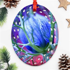 Blue Flowers With Thorns Oval Filigree Ornament (two Sides) by Sapixe