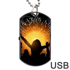 Celebration Night Sky With Fireworks In Various Colors Dog Tag Usb Flash (one Side) by Sapixe