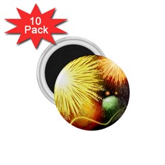 Celebration Colorful Fireworks Beautiful 1 75  Magnets (10 Pack)  by Sapixe