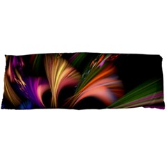 Color Burst Abstract Body Pillow Case Dakimakura (two Sides) by Sapixe