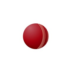 Cricket Ball 1  Mini Magnets by Sapixe