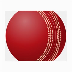 Cricket Ball Small Glasses Cloth by Sapixe