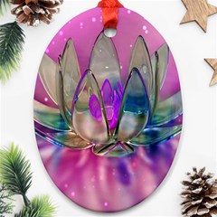 Crystal Flower Oval Ornament (two Sides) by Sapixe