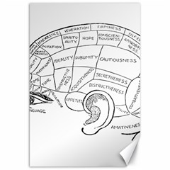 Brain Chart Diagram Face Fringe Canvas 20  X 30   by Nexatart