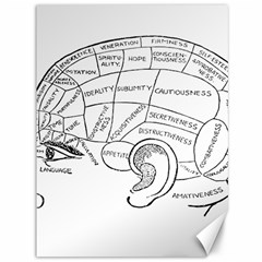 Brain Chart Diagram Face Fringe Canvas 36  X 48   by Nexatart