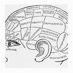 Brain Chart Diagram Face Fringe Medium Glasses Cloth by Nexatart