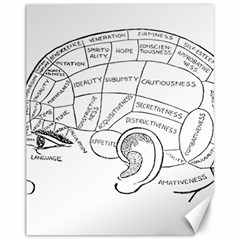 Brain Chart Diagram Face Fringe Canvas 11  X 14   by Nexatart