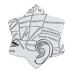 Brain Chart Diagram Face Fringe Ornament (snowflake) by Nexatart