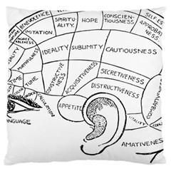 Brain Chart Diagram Face Fringe Large Cushion Case (two Sides) by Nexatart