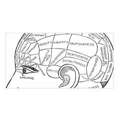 Brain Chart Diagram Face Fringe Satin Shawl by Nexatart