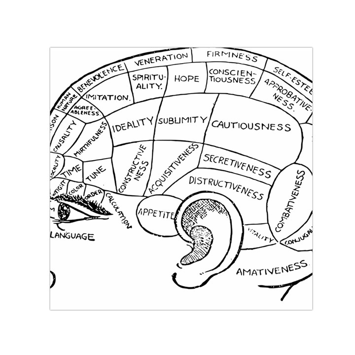 Brain Chart Diagram Face Fringe Small Satin Scarf (Square)