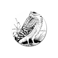 Animal Bird Forest Nature Owl Magnet 3  (round) by Nexatart