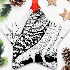 Animal Bird Forest Nature Owl Star Ornament (two Sides) by Nexatart