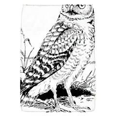 Animal Bird Forest Nature Owl Flap Covers (s)  by Nexatart