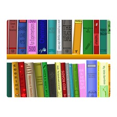 Shelf Books Library Reading Double Sided Flano Blanket (mini)  by Nexatart