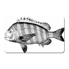 Animal Fish Ocean Sea Magnet (rectangular) by Nexatart