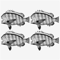 Animal Fish Ocean Sea Belt Buckles by Nexatart