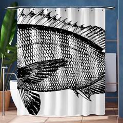 Animal Fish Ocean Sea Shower Curtain 60  X 72  (medium)  by Nexatart