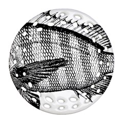 Animal Fish Ocean Sea Round Filigree Ornament (two Sides) by Nexatart