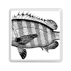 Animal Fish Ocean Sea Memory Card Reader (square)  by Nexatart