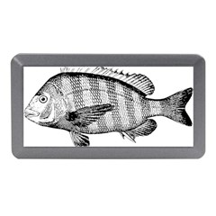 Animal Fish Ocean Sea Memory Card Reader (mini) by Nexatart