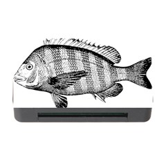 Animal Fish Ocean Sea Memory Card Reader With Cf by Nexatart