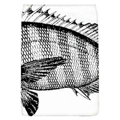 Animal Fish Ocean Sea Flap Covers (l)  by Nexatart