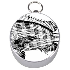 Animal Fish Ocean Sea Silver Compasses by Nexatart