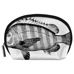 Animal Fish Ocean Sea Accessory Pouches (large)  by Nexatart