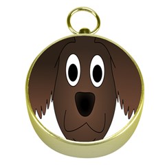 Dog Pup Animal Canine Brown Pet Gold Compasses by Nexatart