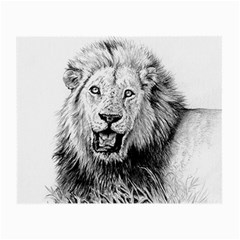 Lion Wildlife Art And Illustration Pencil Small Glasses Cloth by Nexatart