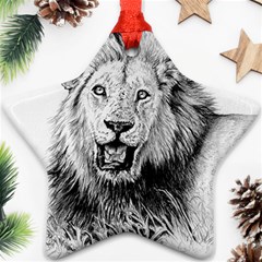 Lion Wildlife Art And Illustration Pencil Star Ornament (two Sides) by Nexatart